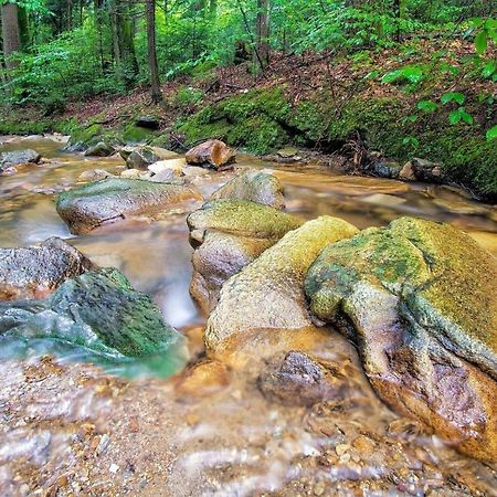 Biohof Laibacher Stubenberg Luaran gambar