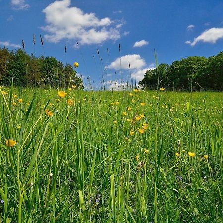 Biohof Laibacher Stubenberg Luaran gambar